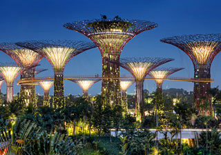 Gardens by the Bay