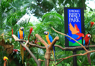 Jurong Bird Park