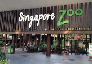 Singapore Zoo